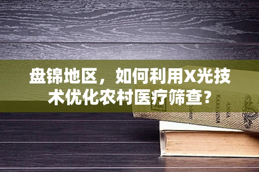 盘锦地区，如何利用X光技术优化农村医疗筛查？