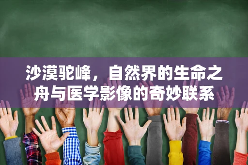 沙漠驼峰，自然界的生命之舟与医学影像的奇妙联系