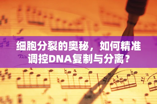 细胞分裂的奥秘，如何精准调控DNA复制与分离？