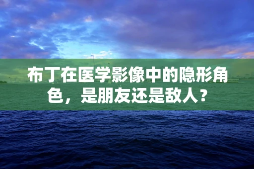 布丁在医学影像中的隐形角色，是朋友还是敌人？