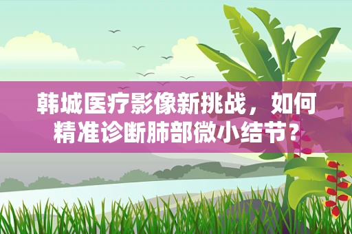 韩城医疗影像新挑战，如何精准诊断肺部微小结节？