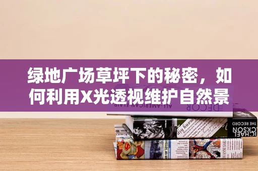 绿地广场草坪下的秘密，如何利用X光透视维护自然景观的‘健康’？