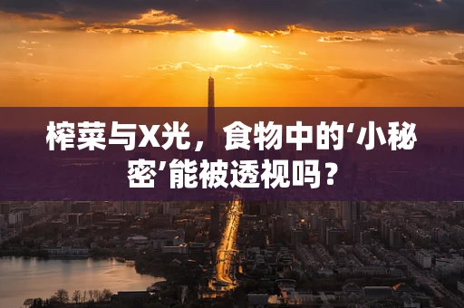 榨菜与X光，食物中的‘小秘密’能被透视吗？