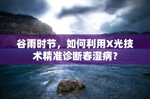 谷雨时节，如何利用X光技术精准诊断春湿病？