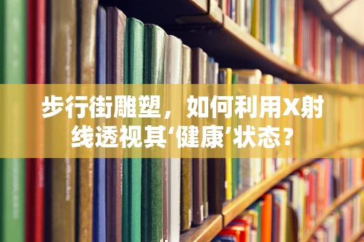 步行街雕塑，如何利用X射线透视其‘健康’状态？