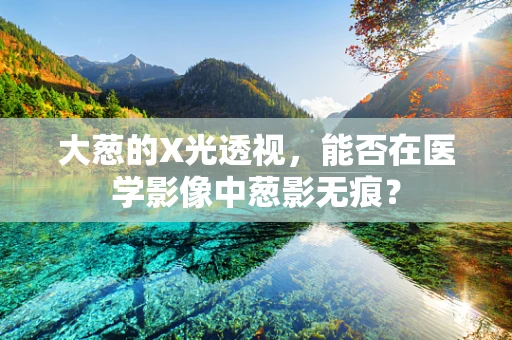 大葱的X光透视，能否在医学影像中葱影无痕？