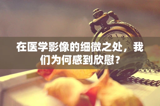 在医学影像的细微之处，我们为何感到欣慰？