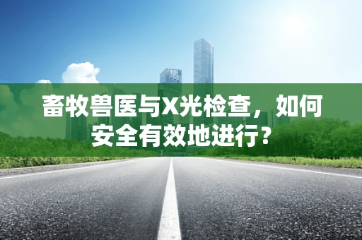 畜牧兽医与X光检查，如何安全有效地进行？