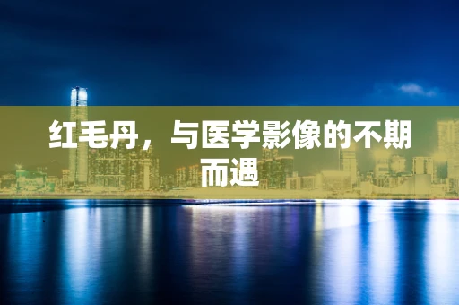 红毛丹，与医学影像的不期而遇