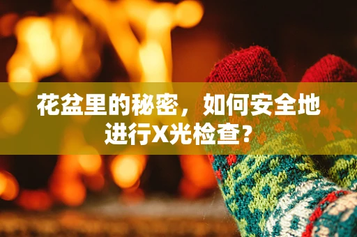 花盆里的秘密，如何安全地进行X光检查？