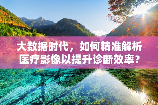 大数据时代，如何精准解析医疗影像以提升诊断效率？