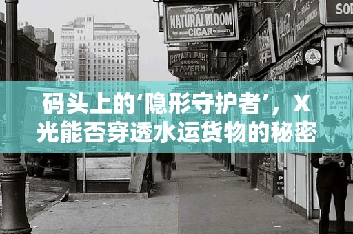 码头上的‘隐形守护者’，X光能否穿透水运货物的秘密？