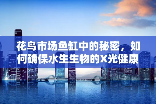 花鸟市场鱼缸中的秘密，如何确保水生生物的X光健康？