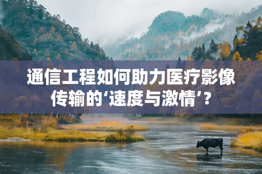 通信工程如何助力医疗影像传输的‘速度与激情’？