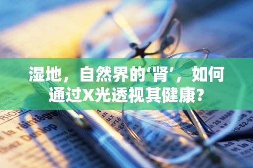 湿地，自然界的‘肾’，如何通过X光透视其健康？