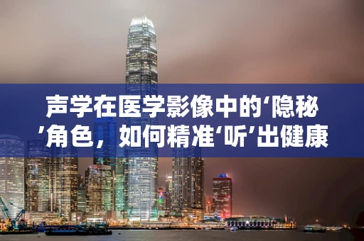 声学在医学影像中的‘隐秘’角色，如何精准‘听’出健康？