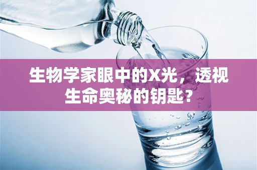生物学家眼中的X光，透视生命奥秘的钥匙？