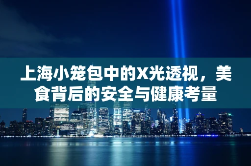 上海小笼包中的X光透视，美食背后的安全与健康考量