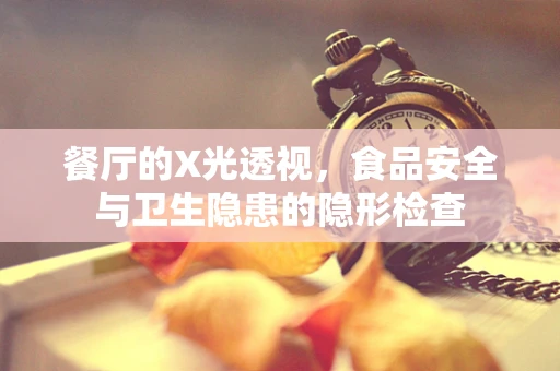 餐厅的X光透视，食品安全与卫生隐患的隐形检查