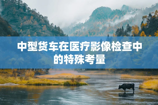 中型货车在医疗影像检查中的特殊考量