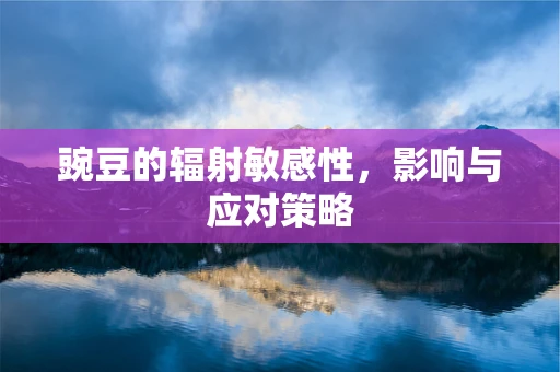 豌豆的辐射敏感性，影响与应对策略