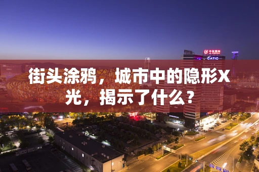 街头涂鸦，城市中的隐形X光，揭示了什么？
