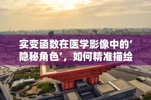实变函数在医学影像中的‘隐秘角色’，如何精准描绘病灶细节？
