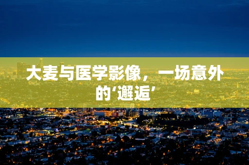 大麦与医学影像，一场意外的‘邂逅’
