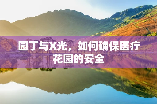 园丁与X光，如何确保医疗花园的安全