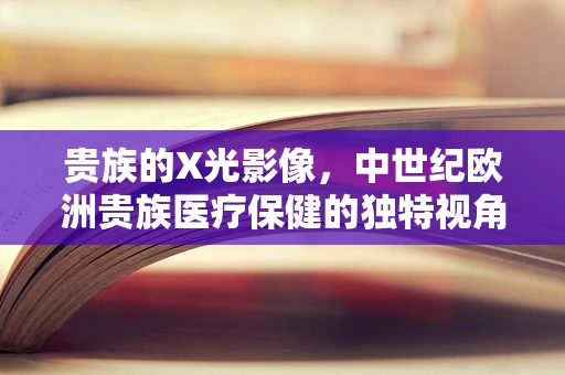 贵族的X光影像，中世纪欧洲贵族医疗保健的独特视角