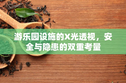 游乐园设施的X光透视，安全与隐患的双重考量