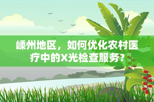 嵊州地区，如何优化农村医疗中的X光检查服务？