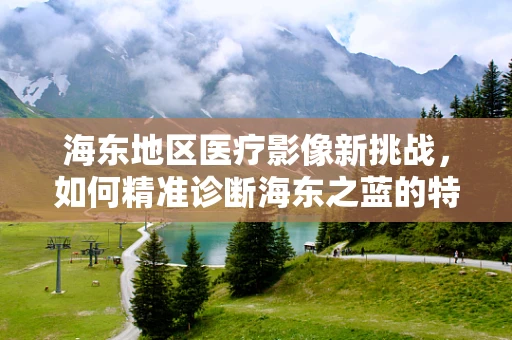 海东地区医疗影像新挑战，如何精准诊断海东之蓝的特殊病例？