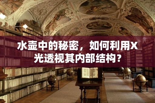 水壶中的秘密，如何利用X光透视其内部结构？