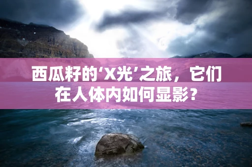 西瓜籽的‘X光’之旅，它们在人体内如何显影？