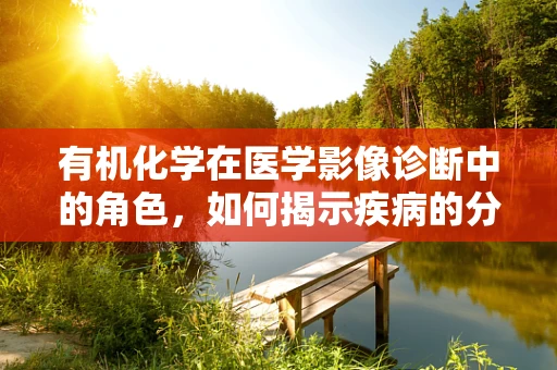有机化学在医学影像诊断中的角色，如何揭示疾病的分子密码？