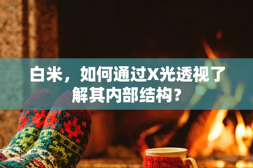 白米，如何通过X光透视了解其内部结构？