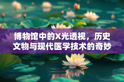 博物馆中的X光透视，历史文物与现代医学技术的奇妙碰撞