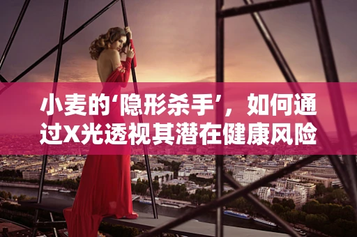 小麦的‘隐形杀手’，如何通过X光透视其潜在健康风险？
