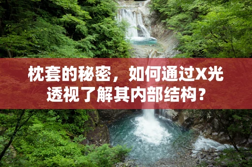 枕套的秘密，如何通过X光透视了解其内部结构？