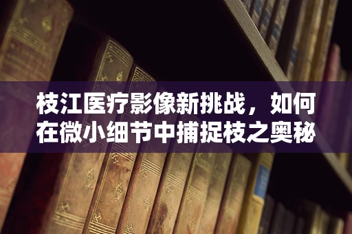枝江医疗影像新挑战，如何在微小细节中捕捉枝之奥秘？
