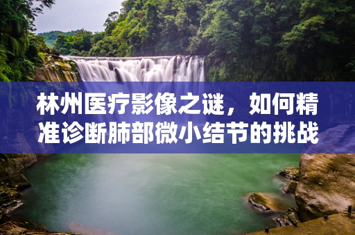 林州医疗影像之谜，如何精准诊断肺部微小结节的挑战？