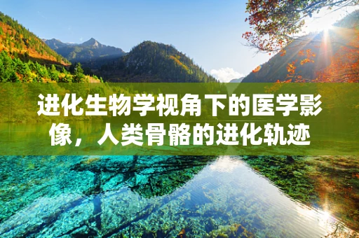 进化生物学视角下的医学影像，人类骨骼的进化轨迹