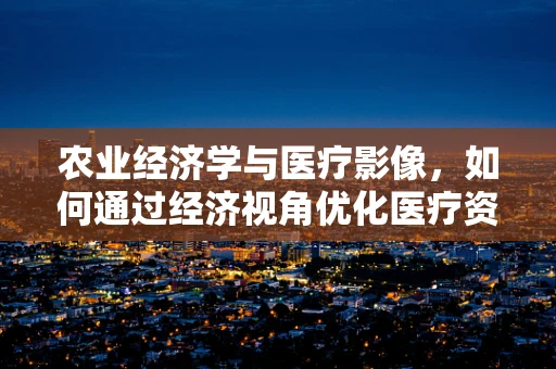 农业经济学与医疗影像，如何通过经济视角优化医疗资源分配？