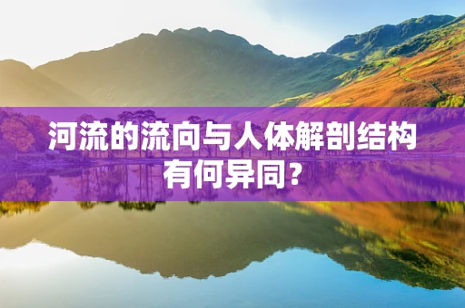 河流的流向与人体解剖结构有何异同？