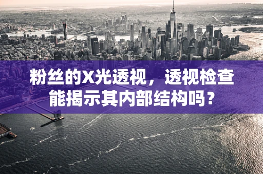 粉丝的X光透视，透视检查能揭示其内部结构吗？