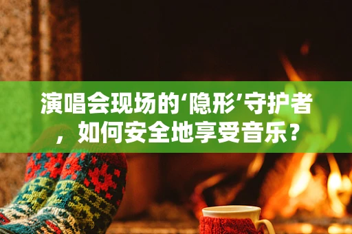 演唱会现场的‘隐形’守护者，如何安全地享受音乐？