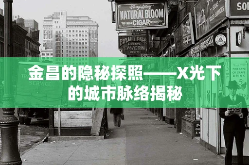 金昌的隐秘探照——X光下的城市脉络揭秘
