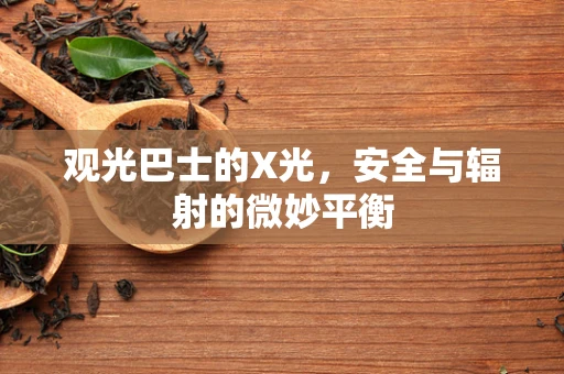 观光巴士的X光，安全与辐射的微妙平衡