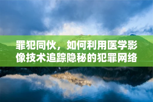 罪犯同伙，如何利用医学影像技术追踪隐秘的犯罪网络？